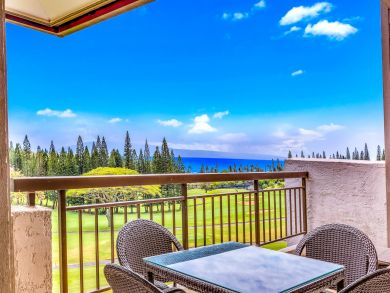 Kapalua Condo 896358
